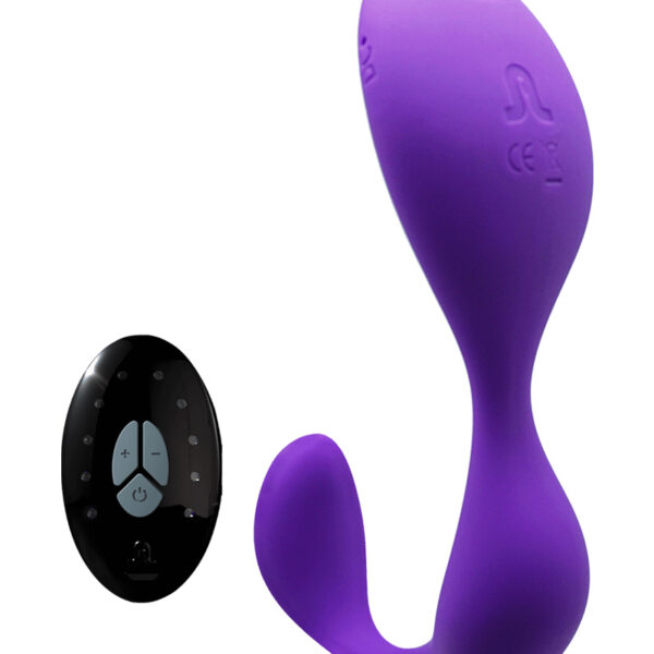 Double stimulateur télécommandé Mr Hook – Adrien Lastic