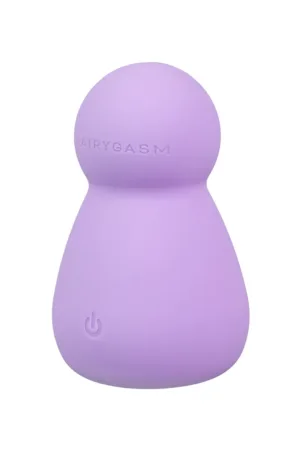 Mini vibro rechargeable Applust violet – FairyGasm - 94edenstreet.com - sexshop en ligne
