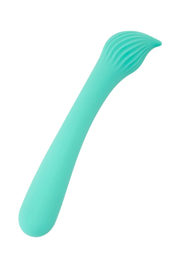 Vibro rechargeable Passionmania vert – FairyGasm - 94edenstreet.com - sexshop en ligne